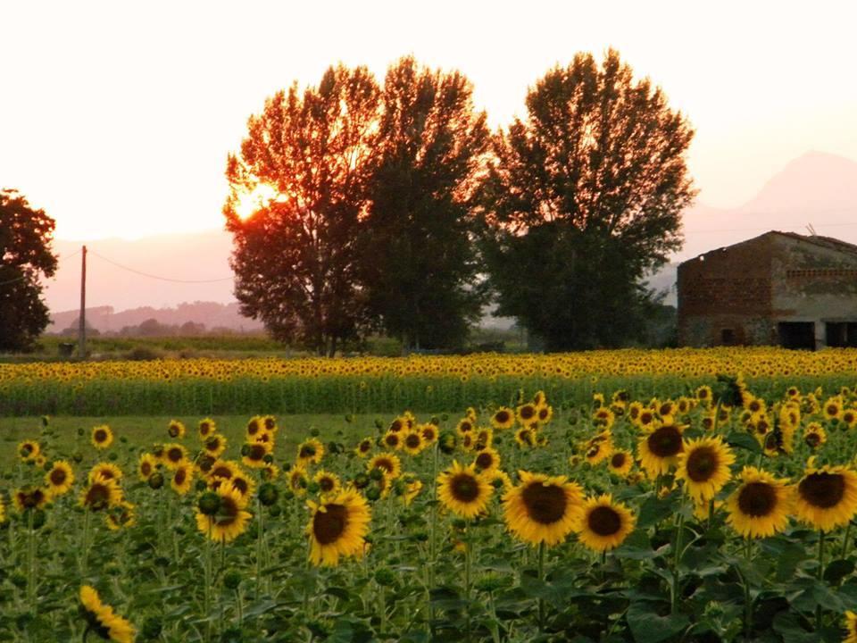 Settepassi Tuscany Agroturismo *